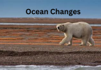 6. Ocean Changes