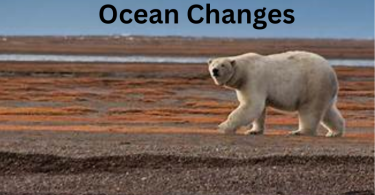 6. Ocean Changes