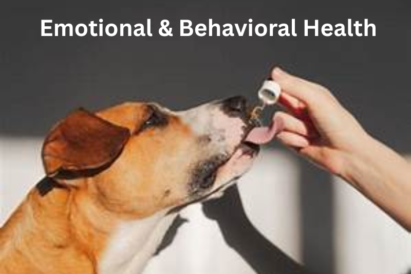 Emotional & Behavioral Health