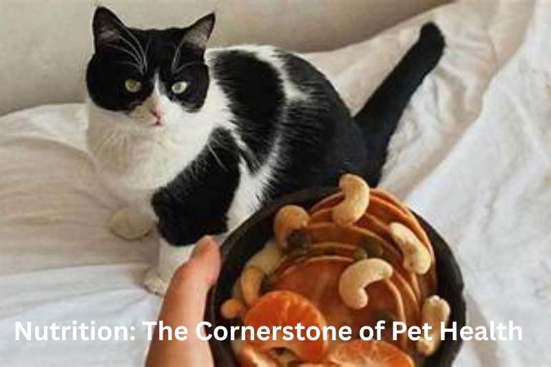Nutrition The Cornerstone of Pet Health