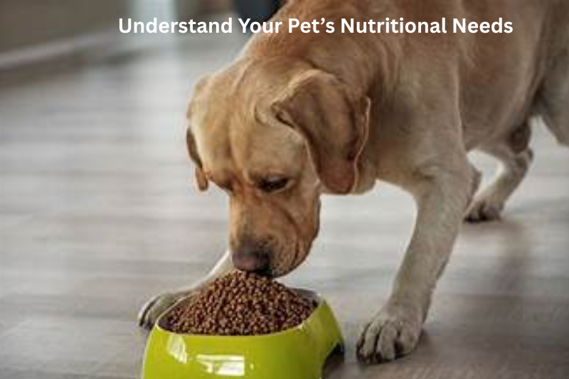 Understand Your Pet’s Nutritional Needs