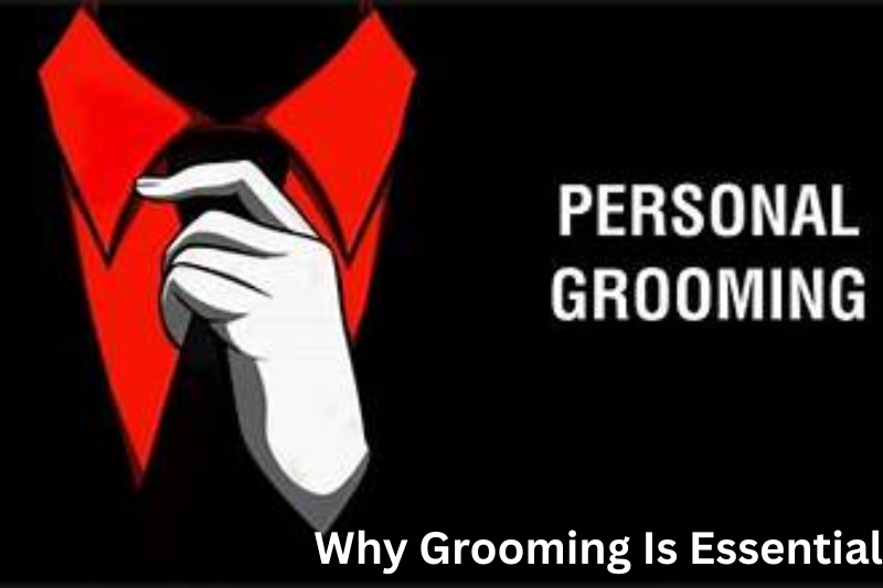 Why Grooming Is Essential