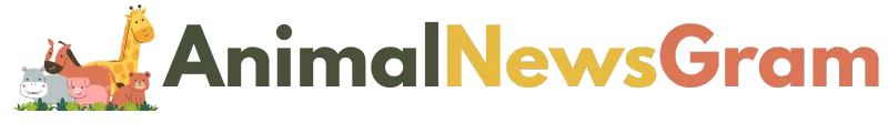 AnimalNewsGram.com – Latest Animal News, Wildlife Stories & Pet Updates
