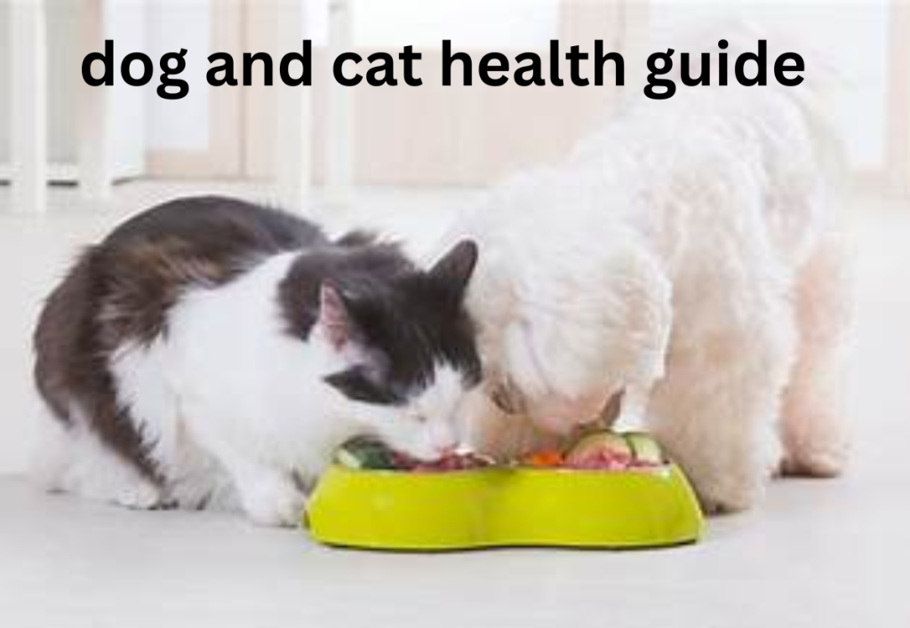 dog and cat health guide