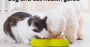 dog and cat health guide