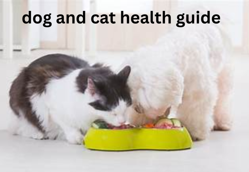 dog and cat health guide