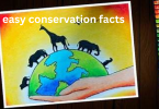 easy conservation facts