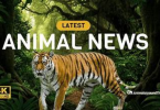 global animal news reports