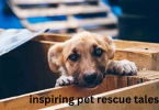 inspiring pet rescue tales