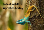 latest wildlife updates today