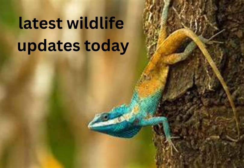 latest wildlife updates today