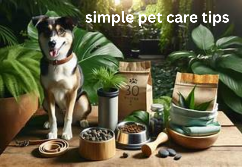 simple pet care tips