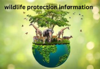 wildlife protection information